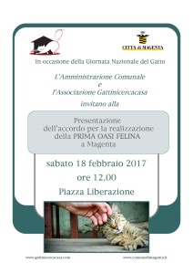 Evento 18 febbraio con associazione Gattinicercacasa