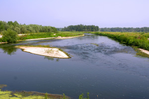 Vigevano_Parco_Ticino